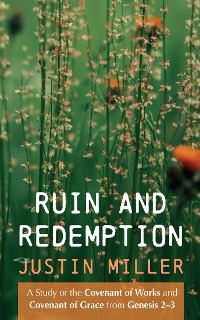 Cover Ruin and Redemption