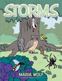 Cover Storms