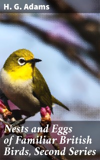 Cover Nests and Eggs of Familiar British Birds, Second Series
