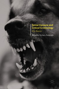 Cover Social Censure and Critical Criminology