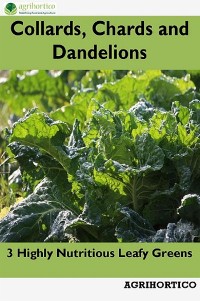 Cover Collards, Chards and Dandelions