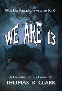 Cover We Are 13