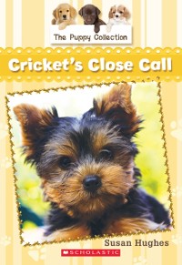 Cover Puppy Collection #6: Cricket's Close Call