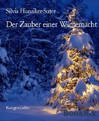 Cover Der Zauber einer Winternacht