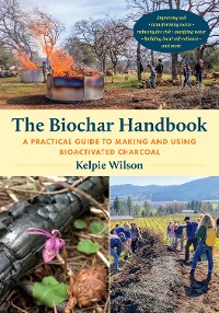 Cover The Biochar Handbook