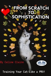 Cover From Scratch To Sophistication