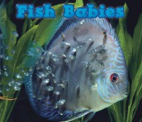 Cover Fish Babies