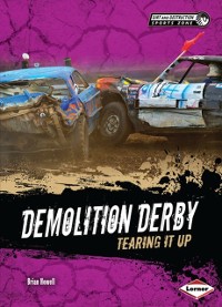 Cover Demolition Derby