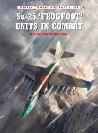 Cover Su-25 ''Frogfoot'' Units In Combat