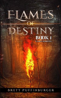 Cover Flames of Destiny Book 1: Flames Igniting