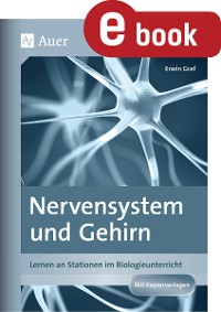 Cover Nervensystem und Gehirn