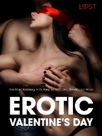 Cover Erotic Valentine's Day - 6 erotiske historier