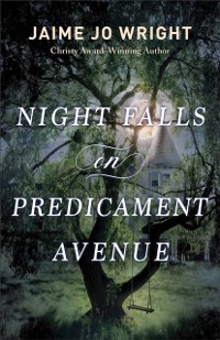 Cover Night Falls on Predicament Avenue