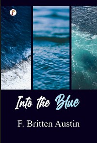 Cover Into the blue