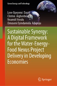 Cover Sustainable Synergy: A Digital Framework for the Water-Energy-Food Nexus Project Delivery in Developing Economies