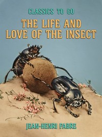 Cover Life and Love of the Insect