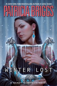 Cover Winter Lost