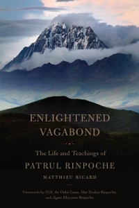 Cover Enlightened Vagabond