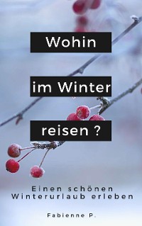 Cover Wohin im Winter reisen ?