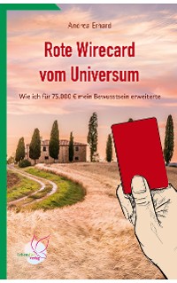 Cover Rote Wirecard vom Universum