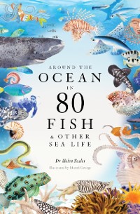 Cover Around the Ocean in 80 Fish and other Sea Life