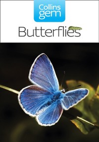Cover Butterflies