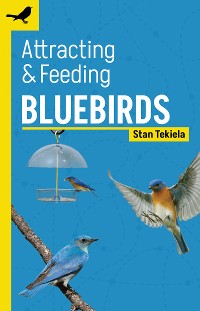Cover Attracting & Feeding Bluebirds