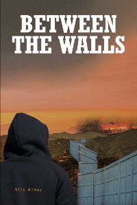 Cover Between the Walls