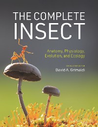 Cover The Complete Insect