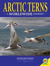 Cover Arctic Terns: A Worldwide Journey