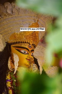 Cover অন্যান্য দৃশ্য 2024 সেপ্টেম্বর