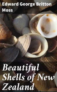 Cover Beautiful Shells of New Zealand