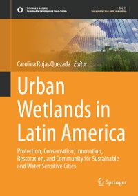 Cover Urban Wetlands in Latin America