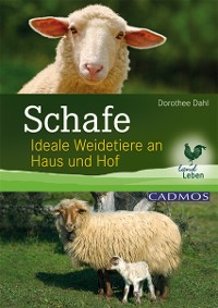 Cover Schafe