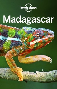 Cover Lonely Planet Madagascar