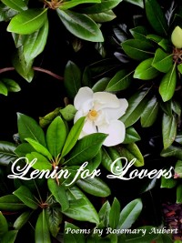 Cover Lenin for Lovers