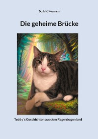 Cover Die geheime Brücke