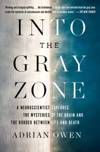 Cover Into the Gray Zone