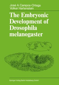 Cover Embryonic Development of Drosophila melanogaster