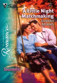 Cover A LITTLE NIGHT MATCHMAKING