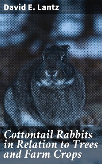 Cover Cottontail Rabbits in Relation to Trees and Farm Crops