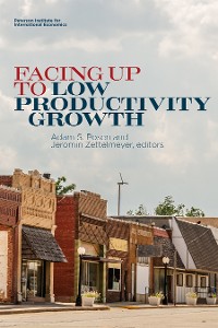 Cover Facing Up to Low Productivity Growth