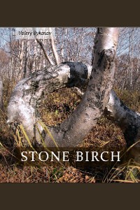 Cover Stone Birch