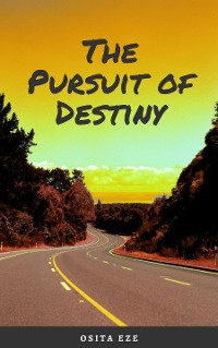 Cover The Pursuit of Destiny
