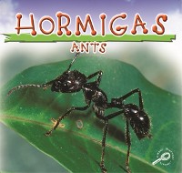 Cover Hormigas