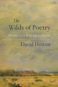 Cover Wilds of Poetry
