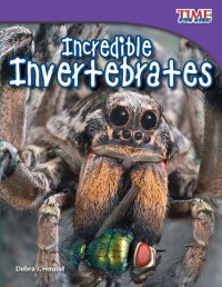 Cover Incredible Invertebrates
