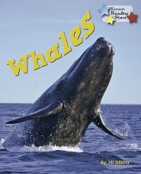 Cover Whales