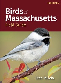 Cover Birds of Massachusetts Field Guide