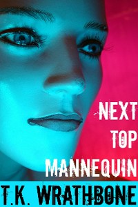 Cover Next Top Mannequin